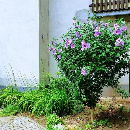 Room In City Center Halle With Shared Bathroom & Kitchen - Free Wifi, Netflix, Ipad & Ground Floor Kültér fotó
